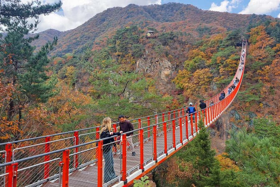 Seoul: DMZ with Optional Suspension Bridge & Gondola - Timing and pace: getting from Seoul in 7 to 11 hours