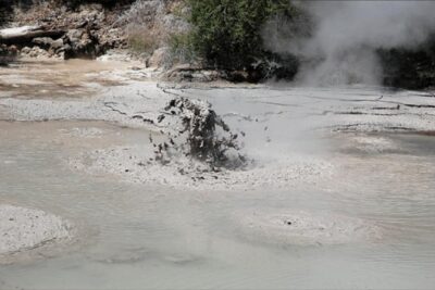 Shore excursion to Rotorua including Gondola and luge rides - Government Gardens: the easy start before the busy parts