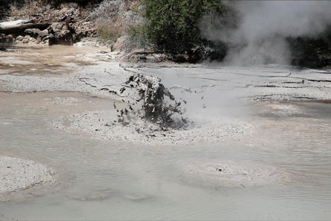 Shore excursion to Rotorua including Gondola and luge rides - Government Gardens: the easy start before the busy parts