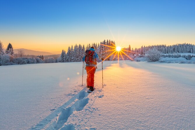 Snowshoeing at The Top of The Sea to Sky Gondola - Sea to Sky Highway stop: seeing the scenery before you go high