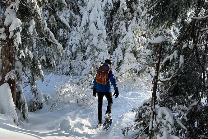 Snowshoeing at The Top of The Sea to Sky Gondola - Snowshoeing trails: what the 6 hours feels like in practice