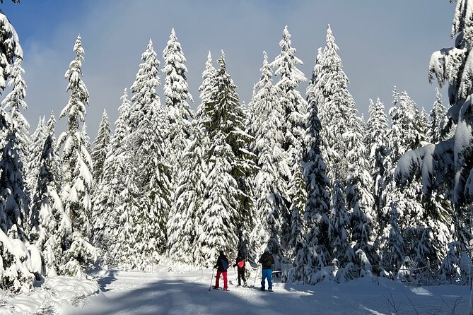 Snowshoeing at The Top of The Sea to Sky Gondola - Guide quality: why Adrian’s details matter