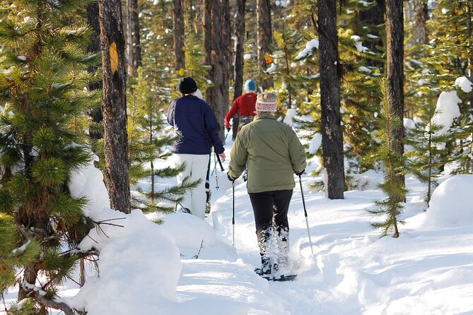 Snowshoeing at The Top of The Sea to Sky Gondola - Price and value: what $138.20 buys you
