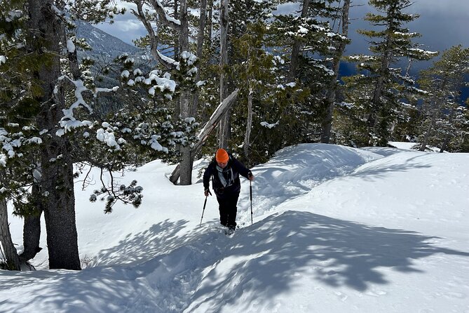Snowshoeing At The Top Of The Sea To Sky Gondola - Getting picked up in Vancouver and heading up Howe Sound