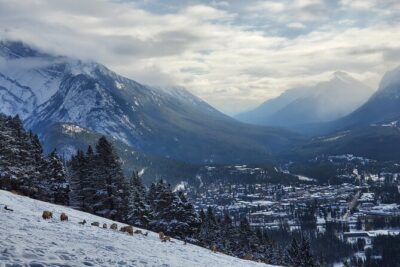 Spectacular Banff Day - Gondola Included - Price and what you’re actually paying for