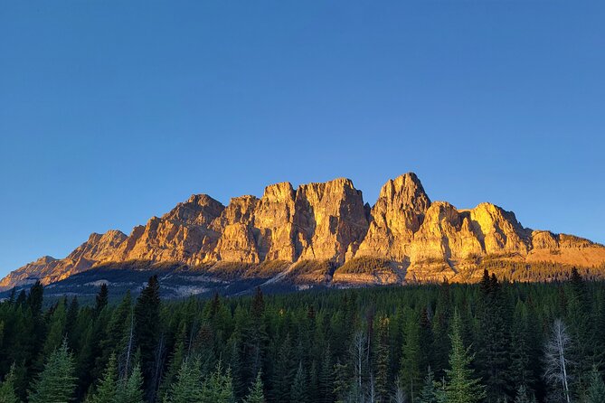 Spectacular Banff Day - Gondola Included - Moraine Lake (seasonal stop): a winter plan you’ll be glad you have