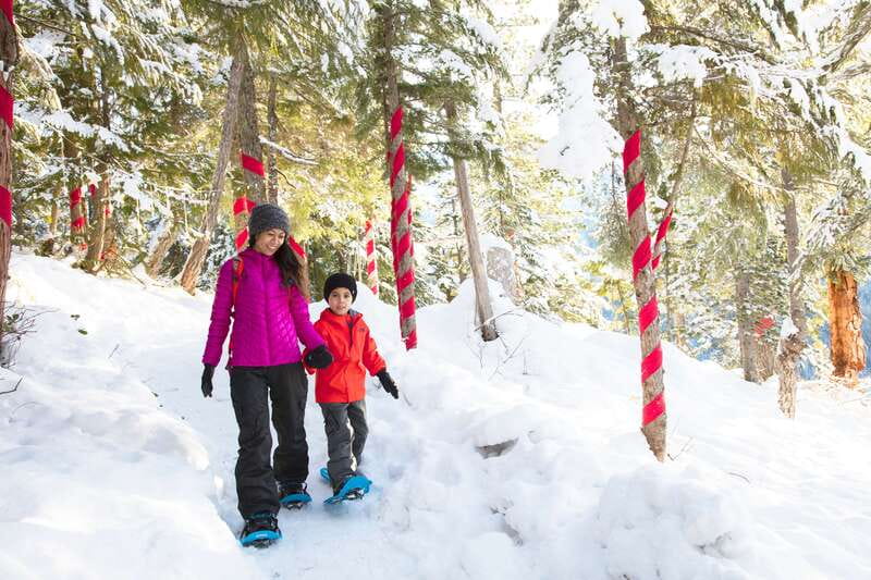 Squamish: Sea to Sky Gondola Admission Ticket - Why it works so well up top