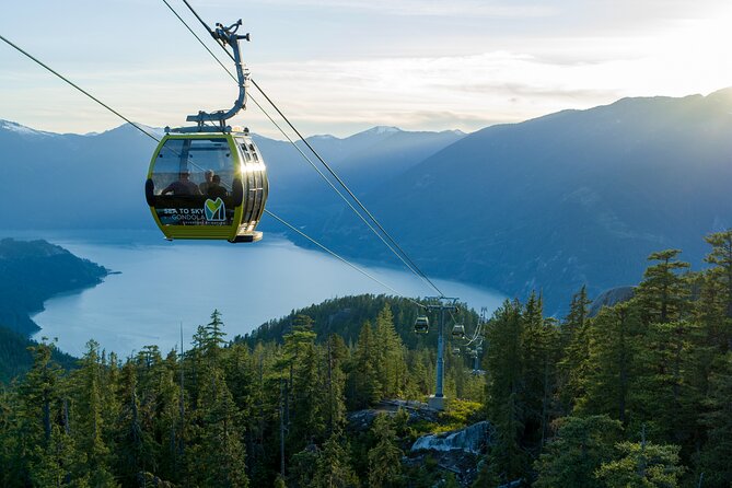 Whistler and Sea to Sky Gondola, a Fire and Ice Discovery Tour - Sea to Sky Gondola at Habrich Ridge: Trails, Bridge, and Big Sky Views