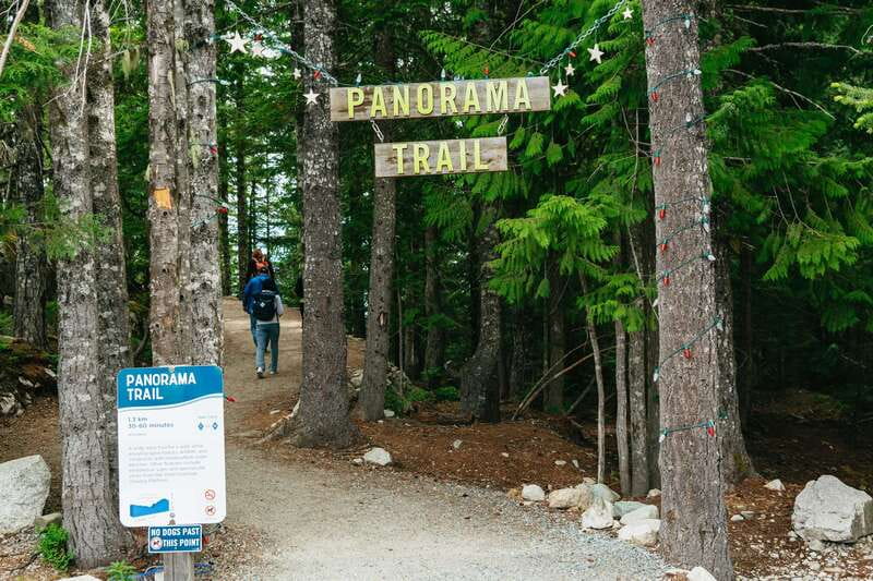 Whistler, Sea to Sky Gondola, and Shannon Falls Day Trip - The Return Trip: Scenic Stops and Another Shot at the Views
