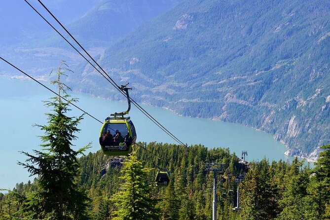 Whistler, Shannon Falls & Sea to Sky Gondola Tour from Vancouver - Shannon Falls Provincial Park: The Best Kind of Waterfall Stop