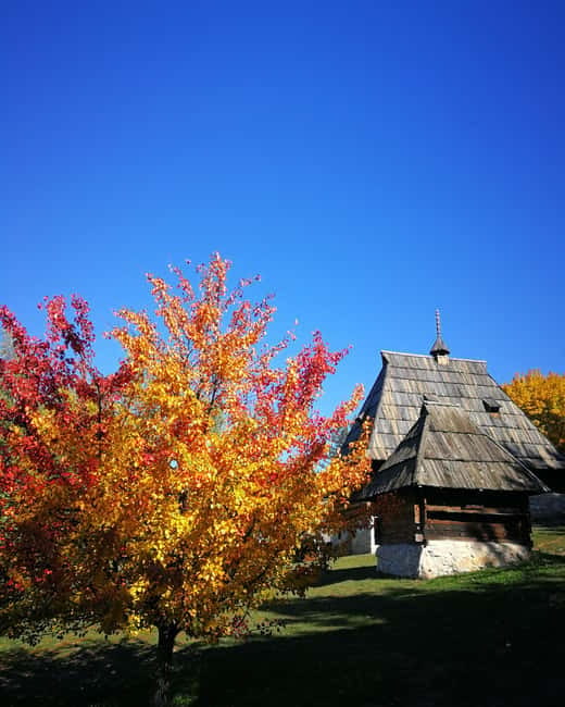 Zlatibor tour - Gold gondola, Stopic cave, Sirogojno & falls - Should You Book This Zlatibor Day Trip?